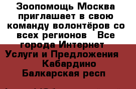 Зоопомощь.Москва приглашает в свою команду волонтёров со всех регионов - Все города Интернет » Услуги и Предложения   . Кабардино-Балкарская респ.